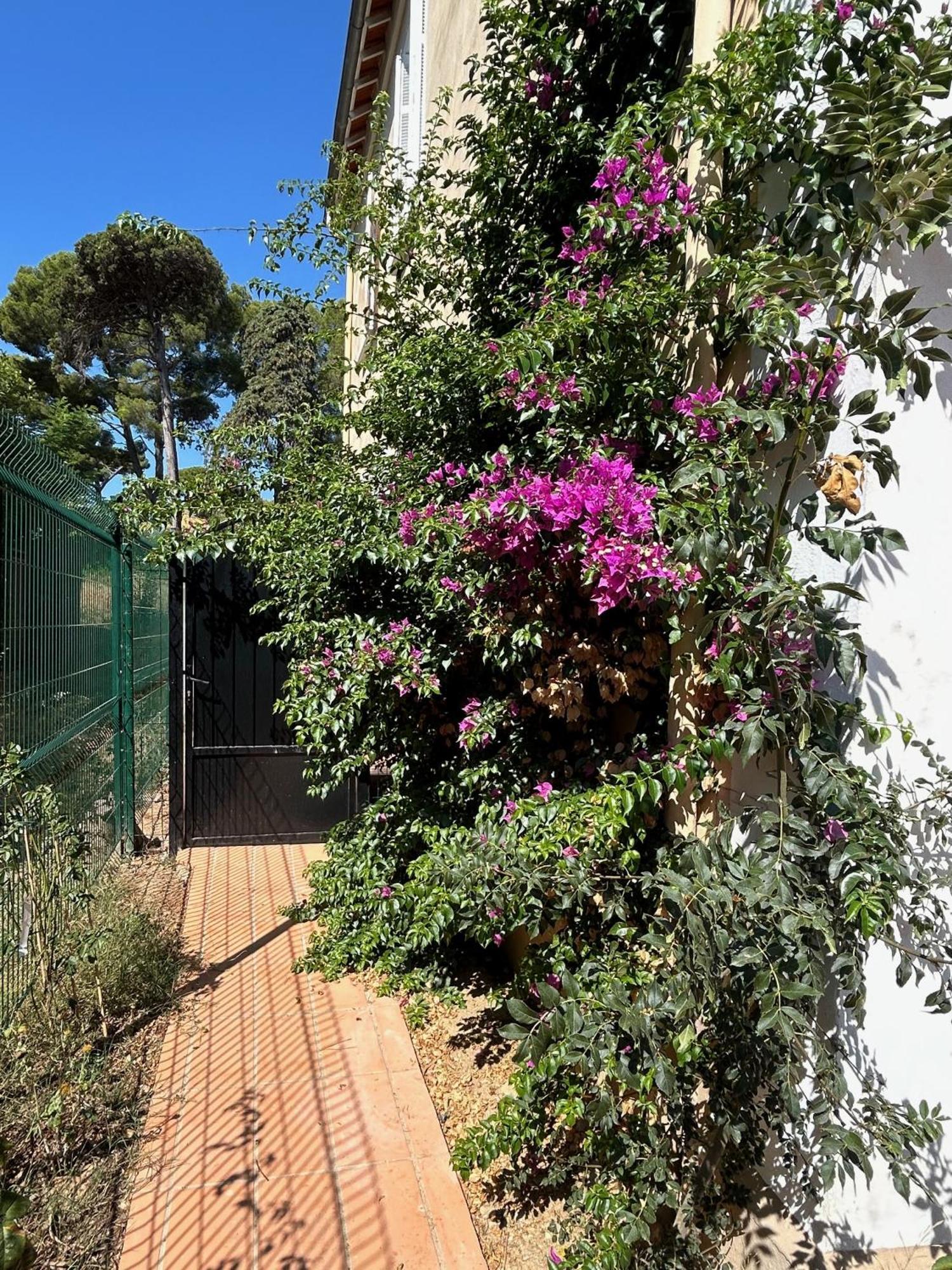 Villa Les Lys 2 لا سين سور مير المظهر الخارجي الصورة